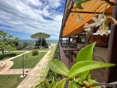 negozio in vendita a Castelnuovo di Val di Cecina