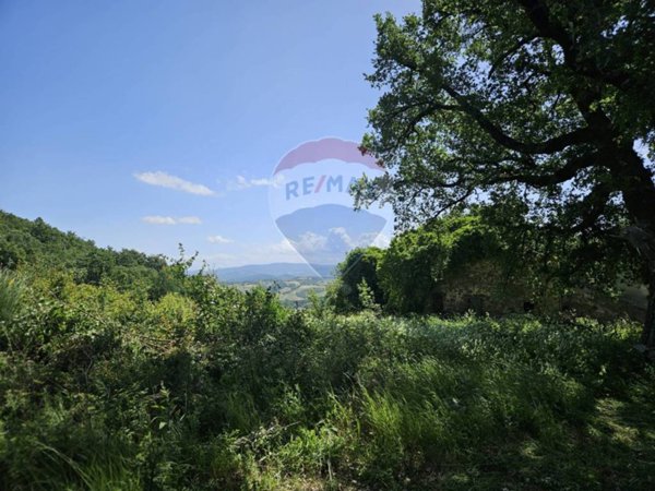 terreno agricolo in vendita a Castelnuovo di Val di Cecina