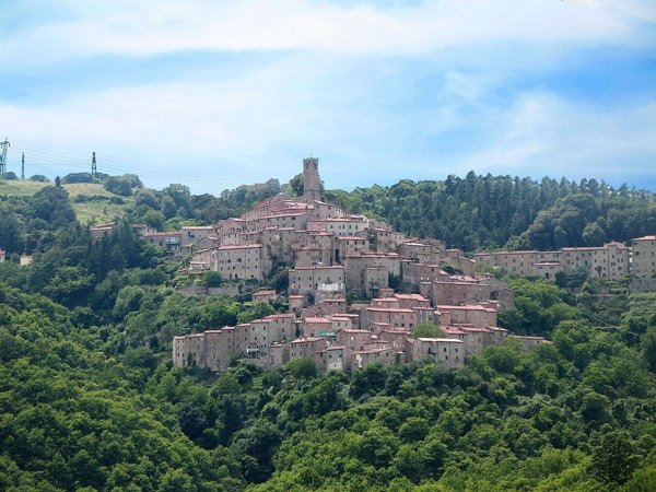 appartamento in vendita a Castelnuovo di Val di Cecina
