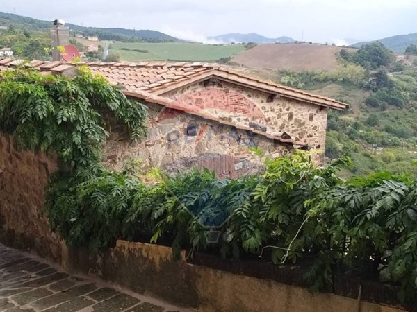 casa indipendente in vendita a Castelnuovo di Val di Cecina
