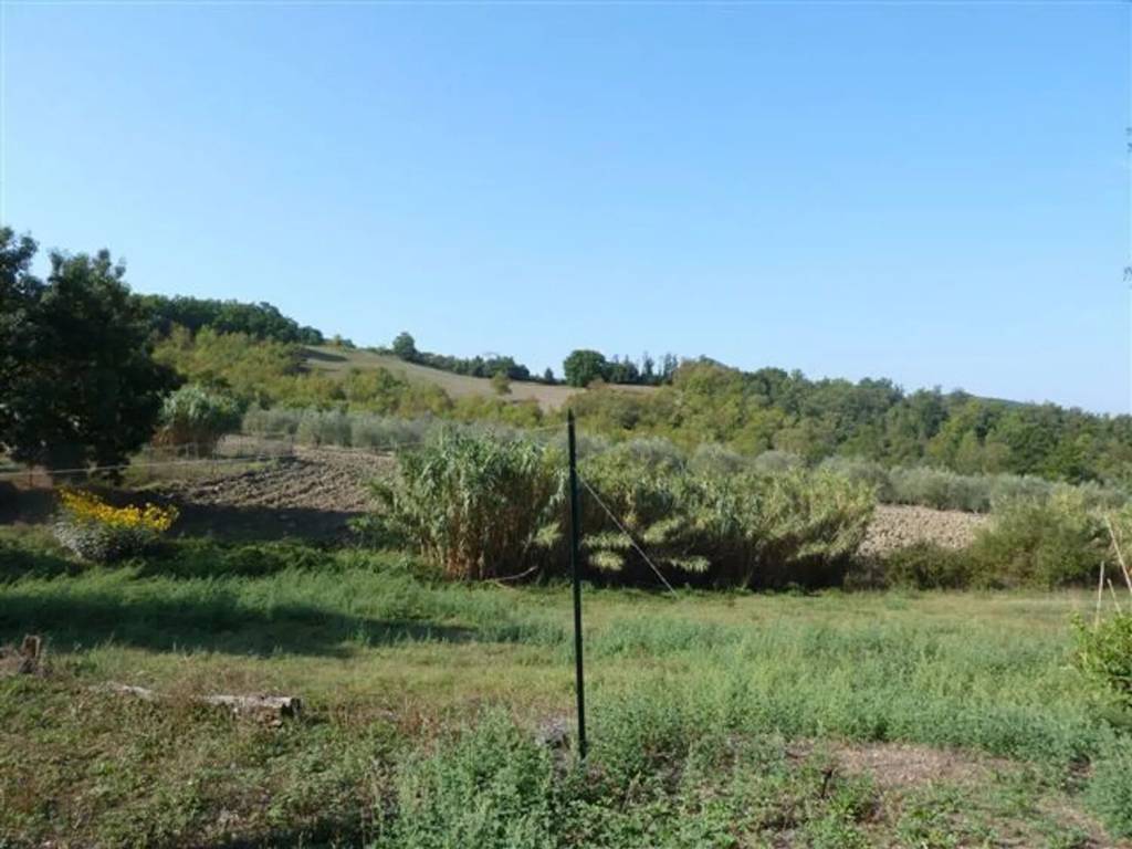 terreno agricolo in vendita a Castelnuovo di Val di Cecina