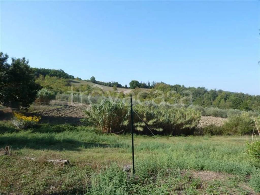 terreno agricolo in vendita a Castelnuovo di Val di Cecina