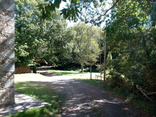 terreno agricolo in vendita a Castelnuovo di Val di Cecina