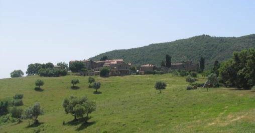 terreno agricolo in vendita a Castelnuovo di Val di Cecina