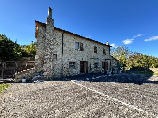 esavano in vendita a Castelnuovo di Val di Cecina