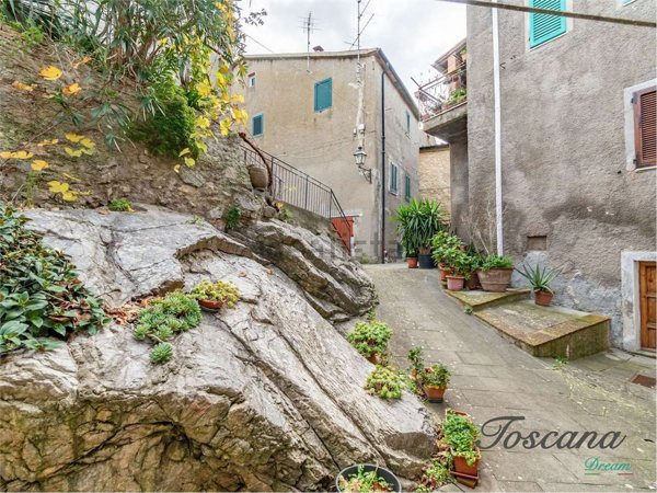 appartamento in vendita a Castelnuovo di Val di Cecina