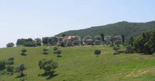 negozio in vendita a Castelnuovo di Val di Cecina