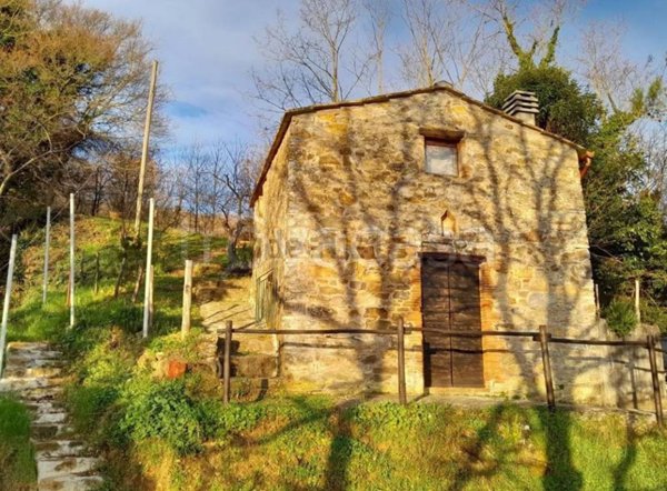 terreno agricolo in vendita a Castelnuovo di Val di Cecina