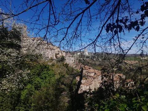terreno agricolo in vendita a Castelnuovo di Val di Cecina