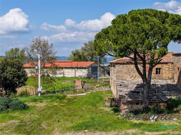 ufficio in vendita a Castelnuovo di Val di Cecina