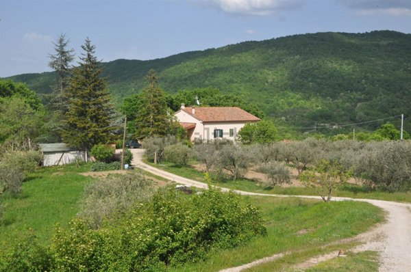 casale in vendita a Castelnuovo di Val di Cecina