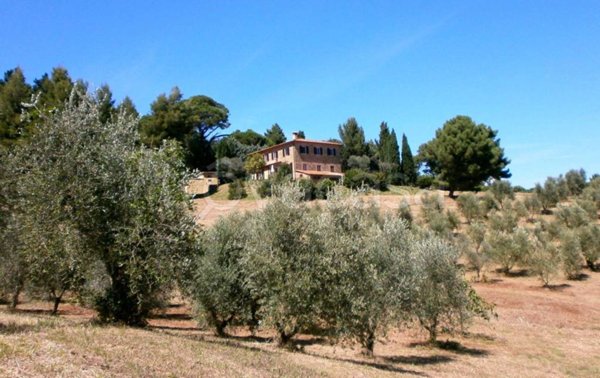 casa indipendente in vendita a Chianni in zona Rivalto