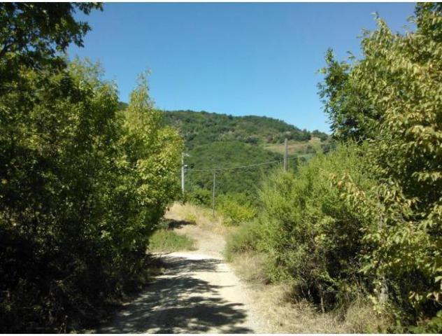 terreno agricolo in vendita a Chianni