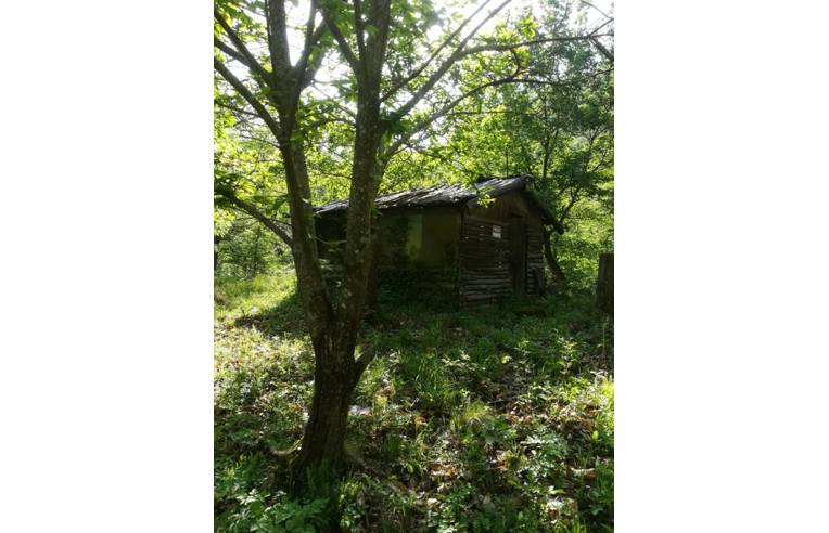 terreno agricolo in vendita a Chianni in zona Rivalto