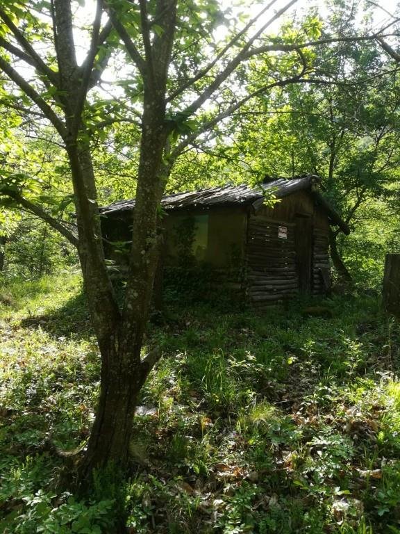 terreno agricolo in vendita a Chianni in zona Rivalto