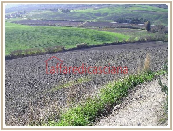 terreno agricolo in vendita a Chianni