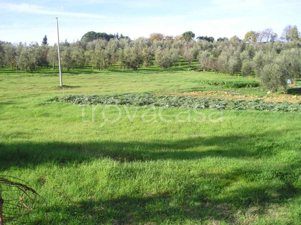 appartamento in vendita a Chianni