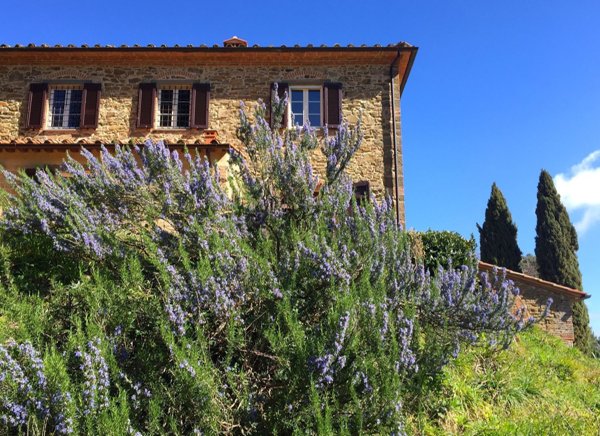 casa indipendente in vendita a Chianni in zona Rivalto