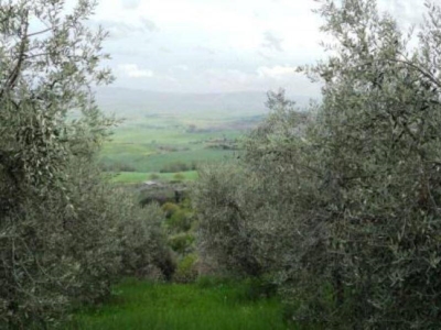 terreno edificabile in vendita a Chianni