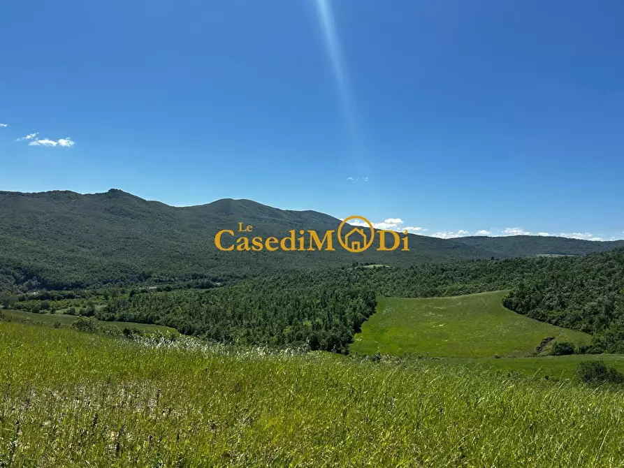 casa indipendente in vendita a Chianni