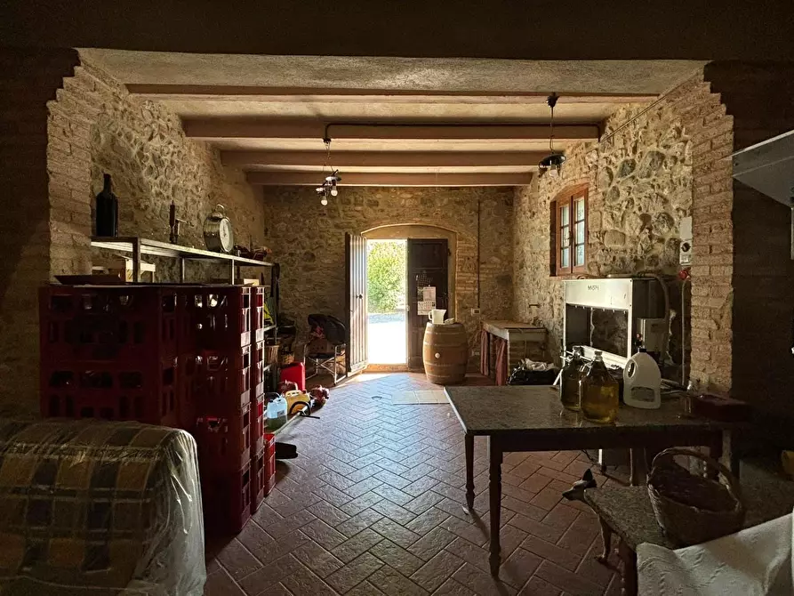 azienda agricola in vendita a Chianni