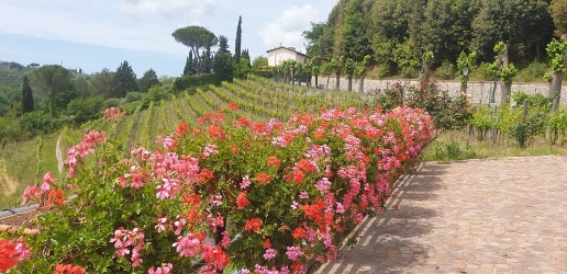 casale in vendita a Chianni