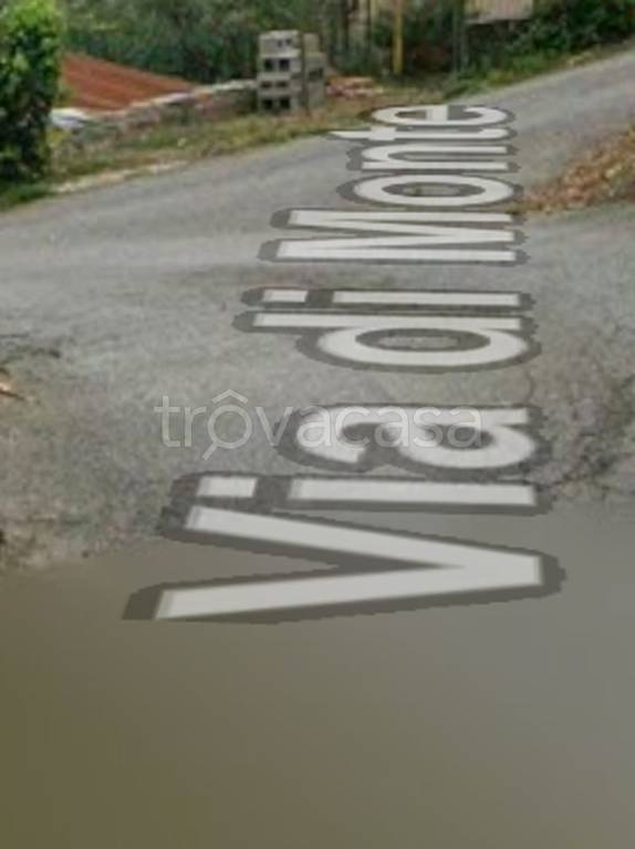 terreno agricolo in vendita a Chianni