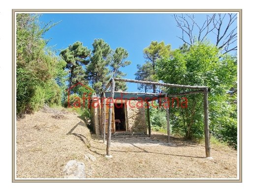 appartamento in vendita a Chianni