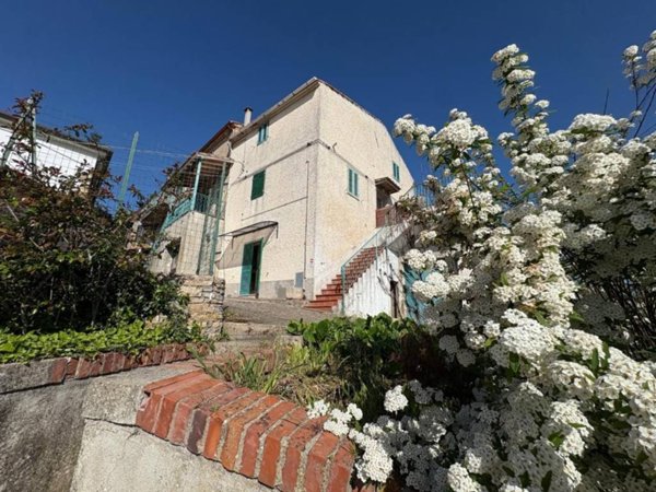 casa indipendente in vendita a Chianni in zona Sassi Bianchi