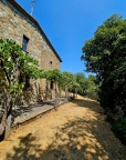 appartamento in vendita a Chianni