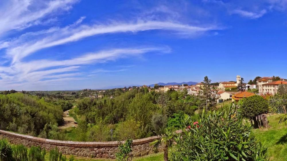 terreno agricolo in vendita a Fauglia