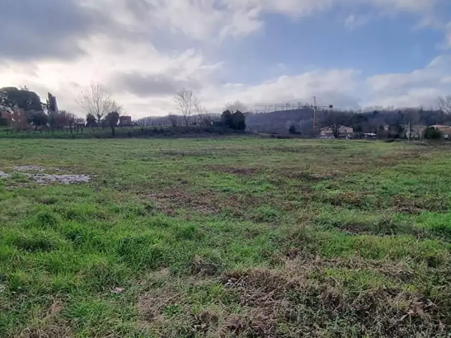 casa indipendente in vendita a Fauglia