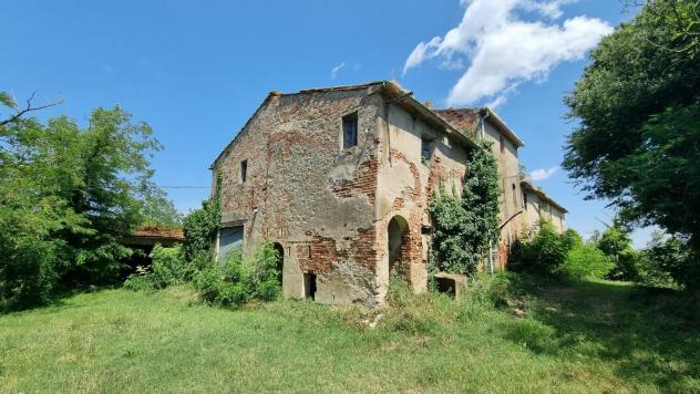 terreno agricolo in vendita a Fauglia in zona Luciana