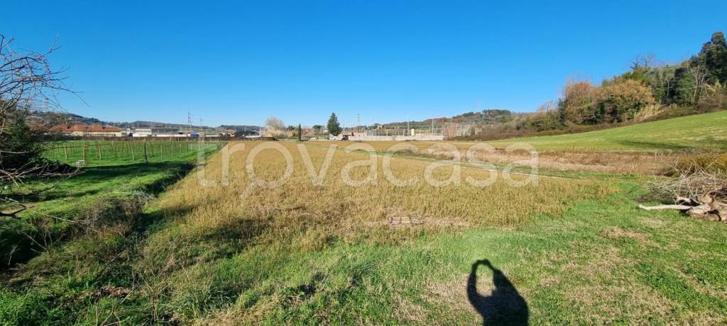 terreno agricolo in vendita a Fauglia in zona Luciana