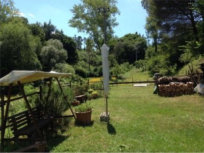 terreno agricolo in vendita a Fauglia