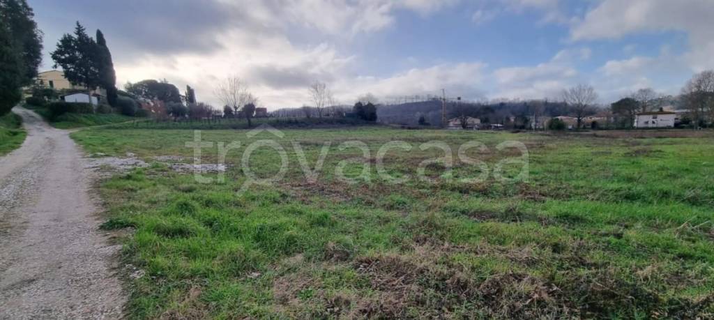 casa indipendente in vendita a Fauglia