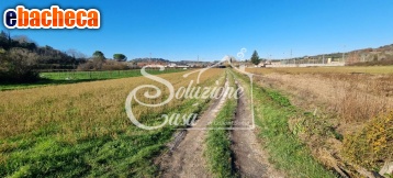 terreno agricolo in vendita a Fauglia in zona Luciana