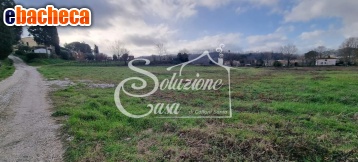 casa indipendente in vendita a Fauglia