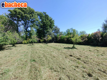 terreno edificabile in vendita a Fauglia