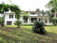 casa indipendente in vendita a Fauglia