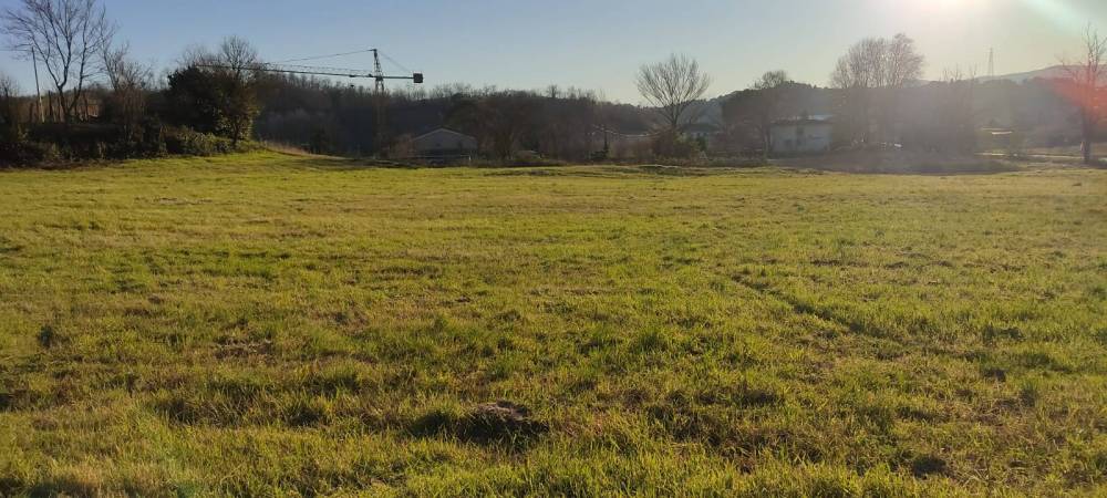 appartamento in vendita a Fauglia