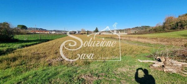 terreno agricolo in vendita a Fauglia in zona Luciana