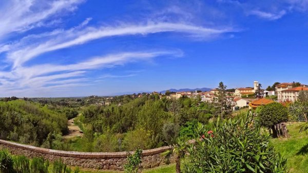 terreno agricolo in vendita a Fauglia