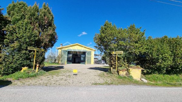 appartamento in vendita a Fauglia in zona Luciana