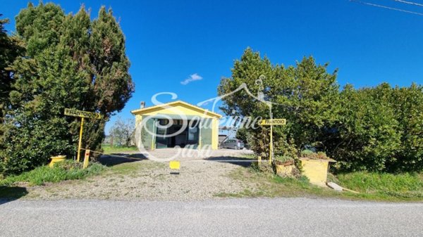 appartamento in vendita a Fauglia in zona Luciana
