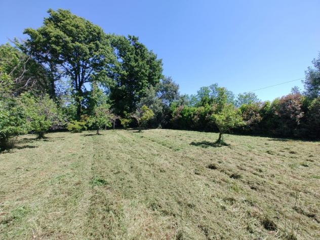 terreno agricolo in vendita a Fauglia