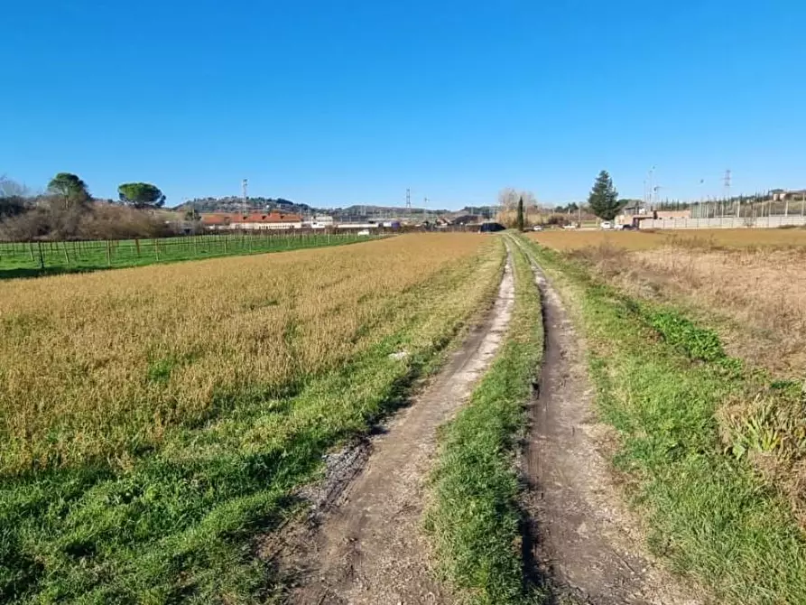 terreno agricolo in vendita a Fauglia in zona Luciana