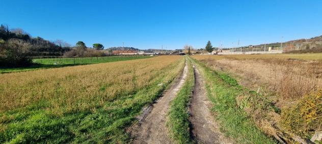 terreno agricolo in vendita a Fauglia in zona Luciana