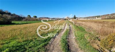 terreno agricolo in vendita a Fauglia in zona Luciana