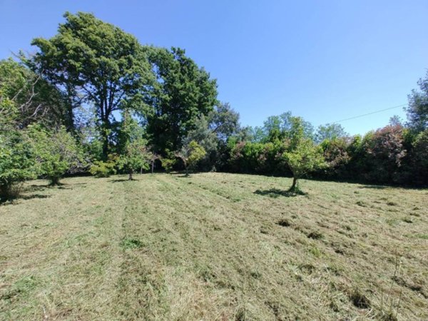 terreno agricolo in vendita a Fauglia